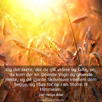 Picture 03 - 2 Kongebog 2:11 DA1871 - Og det skete, der de gik videre og talte, se, da - Bible Verse Picture