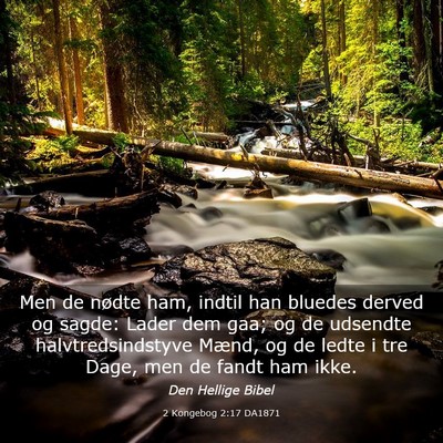 Picture 03 - 2 Kongebog 2:17 DA1871 - Men de nødte ham, indtil han bluedes derved og - Bible Verse Picture