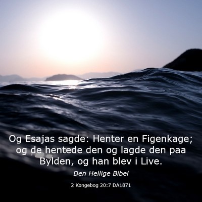 Picture 03 - 2 Kongebog 20:7 DA1871 - Og Esajas sagde: Henter en Figenkage; og de - Bible Verse Picture
