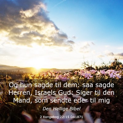 Picture 03 - 2 Kongebog 22:15 DA1871 - Og hun sagde til dem: saa sagde Herren, Israels - Bible Verse Picture