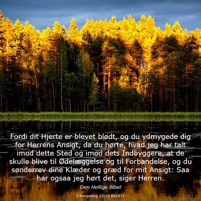 Picture 03 - 2 Kongebog 22:19 DA1871 - Fordi dit Hjerte er blevet blødt, og du ydmygede - Bible Verse Picture