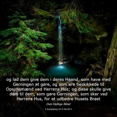 Picture 03 - 2 Kongebog 22:5 DA1871 - og lad dem give dem i deres Haand, som have med - Bible Verse Picture