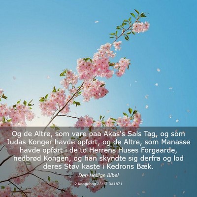 Picture 03 - 2 Kongebog 23:12 DA1871 - Og de Altre, som vare paa Akas's Sals Tag, og som - Bible Verse Picture