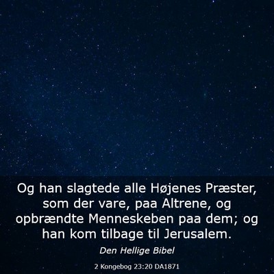 Picture 03 - 2 Kongebog 23:20 DA1871 - Og han slagtede alle Højenes Præster, som der - Bible Verse Picture