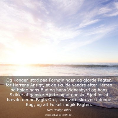 Picture 03 - 2 Kongebog 23:3 DA1871 - Og Kongen stod paa Forhøjningen og gjorde Pagten - Bible Verse Picture