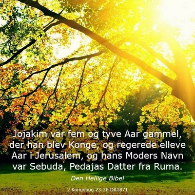 Picture 03 - 2 Kongebog 23:36 DA1871 - Jojakim var fem og tyve Aar gammel, der han blev - Bible Verse Picture