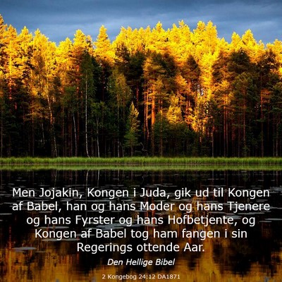Picture 03 - 2 Kongebog 24:12 DA1871 - Men Jojakin, Kongen i Juda, gik ud til Kongen af - Bible Verse Picture