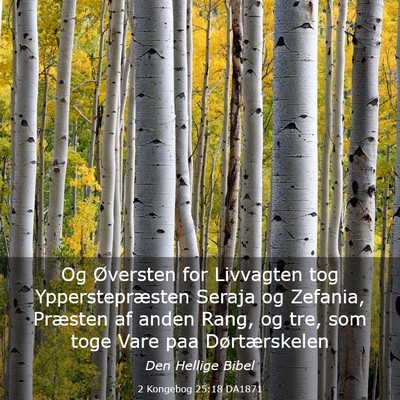 Picture 03 - 2 Kongebog 25:18 DA1871 - Og Øversten for Livvagten tog Ypperstepræsten - Bible Verse Picture