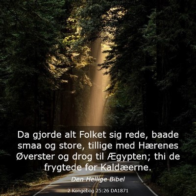 Picture 03 - 2 Kongebog 25:26 DA1871 - Da gjorde alt Folket sig rede, baade smaa og - Bible Verse Picture