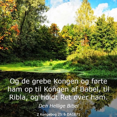 Picture 03 - 2 Kongebog 25:6 DA1871 - Og de grebe Kongen og førte ham op til Kongen af - Bible Verse Picture