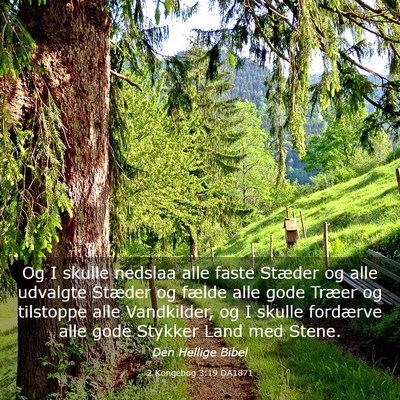 Picture 03 - 2 Kongebog 3:19 DA1871 - Og I skulle nedslaa alle faste Stæder og alle - Bible Verse Picture