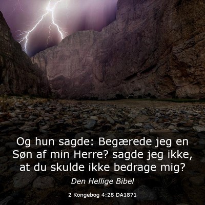 Picture 03 - 2 Kongebog 4:28 DA1871 - Og hun sagde: Begærede jeg en Søn af min Herre? - Bible Verse Picture