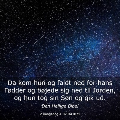 Picture 03 - 2 Kongebog 4:37 DA1871 - Da kom hun og faldt ned for hans Fødder og - Bible Verse Picture