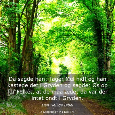 Picture 03 - 2 Kongebog 4:41 DA1871 - Da sagde han: Tager Mel hid! og han kastede det i - Bible Verse Picture