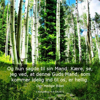 Picture 03 - 2 Kongebog 4:9 DA1871 - Og hun sagde til sin Mand: Kære, se, jeg ved, at - Bible Verse Picture