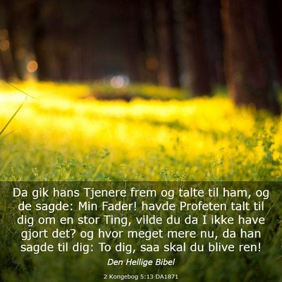 Picture 03 - 2 Kongebog 5:13 DA1871 - Da gik hans Tjenere frem og talte til ham, og de - Bible Verse Picture