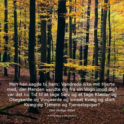 Picture 03 - 2 Kongebog 5:26 DA1871 - Men han sagde til ham: Vandrede ikke mit Hjerte - Bible Verse Picture