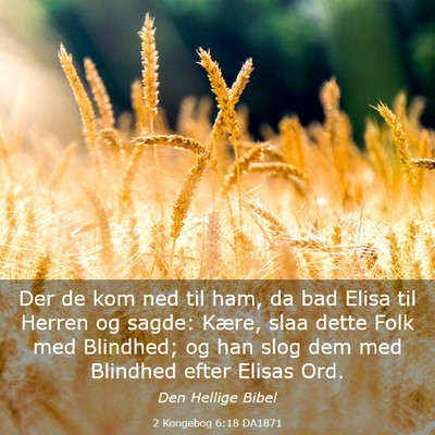 Picture 03 - 2 Kongebog 6:18 DA1871 - Der de kom ned til ham, da bad Elisa til Herren - Bible Verse Picture