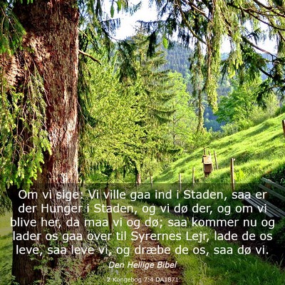 Picture 03 - 2 Kongebog 7:4 DA1871 - Om vi sige: Vi ville gaa ind i Staden, saa er der - Bible Verse Picture