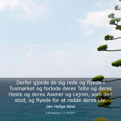 Picture 03 - 2 Kongebog 7:7 DA1871 - Derfor gjorde de sig rede og flyede i Tusmørket - Bible Verse Picture