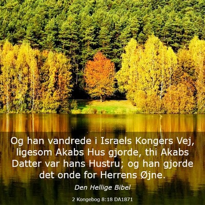 Picture 03 - 2 Kongebog 8:18 DA1871 - Og han vandrede i Israels Kongers Vej, ligesom - Bible Verse Picture