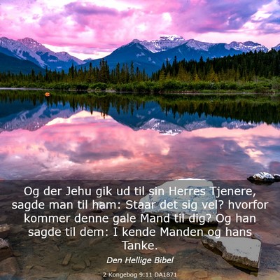 Picture 03 - 2 Kongebog 9:11 DA1871 - Og der Jehu gik ud til sin Herres Tjenere, sagde - Bible Verse Picture