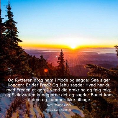 Picture 03 - 2 Kongebog 9:18 DA1871 - Og Rytteren drog ham i Møde og sagde: Saa siger - Bible Verse Picture