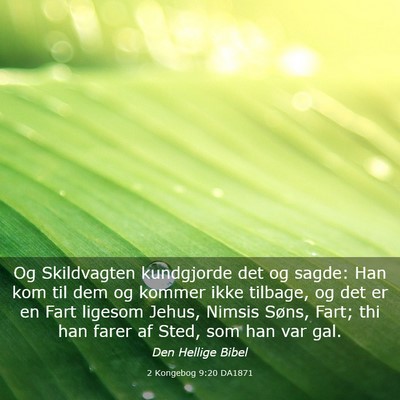 Picture 03 - 2 Kongebog 9:20 DA1871 - Og Skildvagten kundgjorde det og sagde: Han kom - Bible Verse Picture