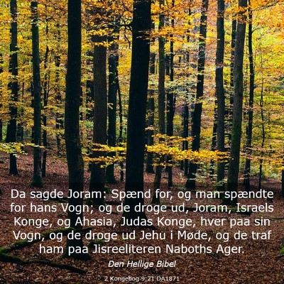 Picture 03 - 2 Kongebog 9:21 DA1871 - Da sagde Joram: Spænd for, og man spændte for - Bible Verse Picture