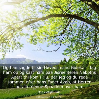 Picture 03 - 2 Kongebog 9:25 DA1871 - Og han sagde til sin Høvedsmand Bidekar: Tag ham - Bible Verse Picture