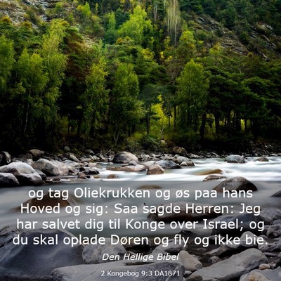 Picture 03 - 2 Kongebog 9:3 DA1871 - og tag Oliekrukken og øs paa hans Hoved og sig: - Bible Verse Picture