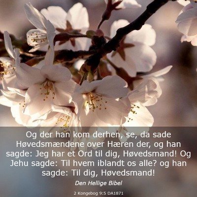 Picture 03 - 2 Kongebog 9:5 DA1871 - Og der han kom derhen, se, da sade - Bible Verse Picture