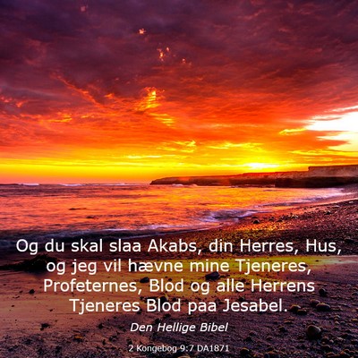 Picture 03 - 2 Kongebog 9:7 DA1871 - Og du skal slaa Akabs, din Herres, Hus, og jeg - Bible Verse Picture