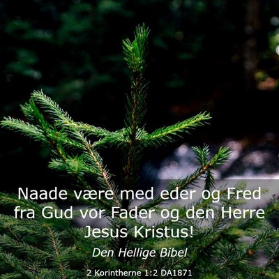 Picture 03 - 2 Korintherne 1:2 DA1871 - Naade være med eder og Fred fra Gud vor Fader og - Bible Verse Picture