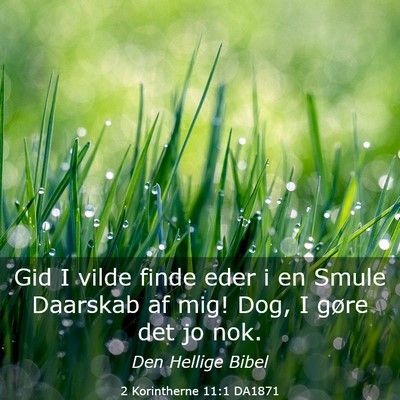 Picture 03 - 2 Korintherne 11:1 DA1871 - Gid I vilde finde eder i en Smule Daarskab af - Bible Verse Picture