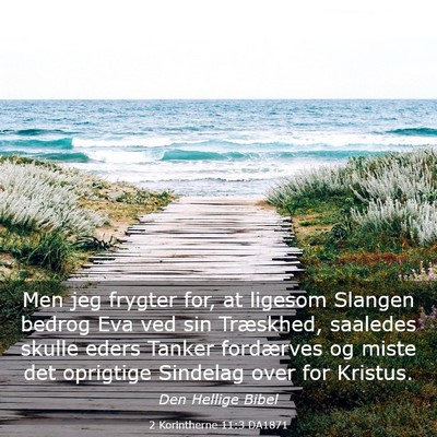 Picture 03 - 2 Korintherne 11:3 DA1871 - Men jeg frygter for, at ligesom Slangen bedrog - Bible Verse Picture