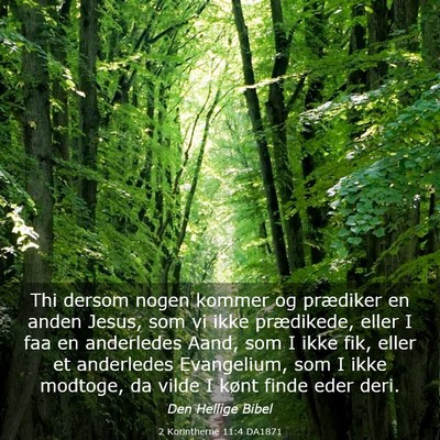 Picture 03 - 2 Korintherne 11:4 DA1871 - Thi dersom nogen kommer og prædiker en anden - Bible Verse Picture