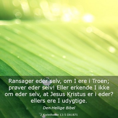 Picture 03 - 2 Korintherne 13:5 DA1871 - Ransager eder selv, om I ere i Troen; prøver - Bible Verse Picture