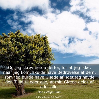 Picture 03 - 2 Korintherne 2:3 DA1871 - Og jeg skrev netop derfor, for at jeg ikke, naar - Bible Verse Picture