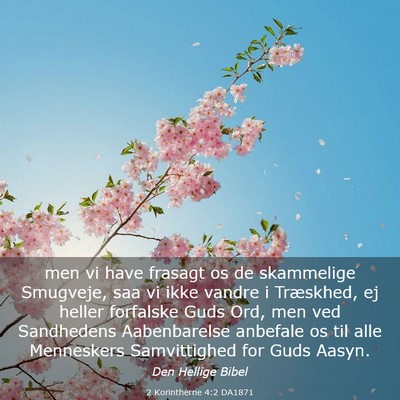 Picture 03 - 2 Korintherne 4:2 DA1871 - men vi have frasagt os de skammelige Smugveje, - Bible Verse Picture