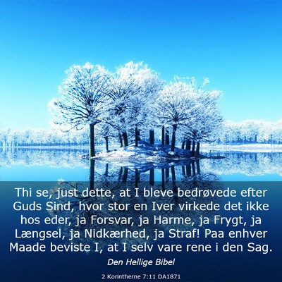 Picture 03 - 2 Korintherne 7:11 DA1871 - Thi se, just dette, at I bleve bedrøvede efter - Bible Verse Picture