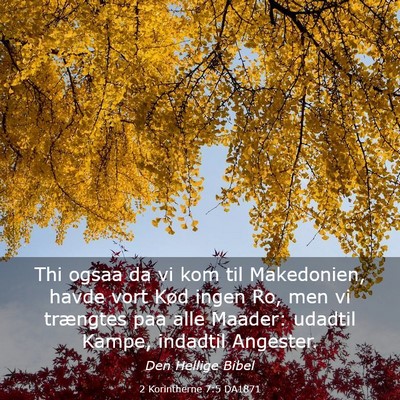 Picture 03 - 2 Korintherne 7:5 DA1871 - Thi ogsaa da vi kom til Makedonien, havde vort - Bible Verse Picture