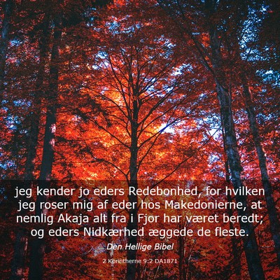 Picture 03 - 2 Korintherne 9:2 DA1871 - jeg kender jo eders Redebonhed, for hvilken jeg - Bible Verse Picture