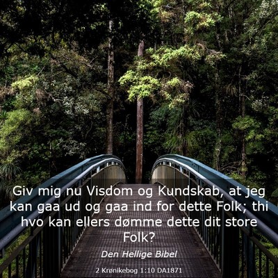 Picture 03 - 2 Krønikebog 1:10 DA1871 - Giv mig nu Visdom og Kundskab, at jeg kan gaa ud - Bible Verse Picture
