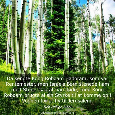 Picture 03 - 2 Krønikebog 10:18 DA1871 - Da sendte Kong Roboam Hadoram, som var - Bible Verse Picture