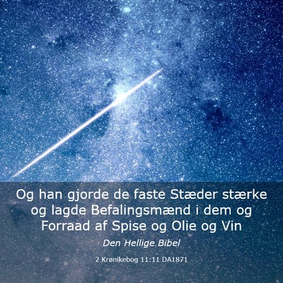 Picture 03 - 2 Krønikebog 11:11 DA1871 - Og han gjorde de faste Stæder stærke og lagde - Bible Verse Picture