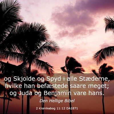 Picture 03 - 2 Krønikebog 11:12 DA1871 - og Skjolde og Spyd i alle Stæderne, hvilke han - Bible Verse Picture