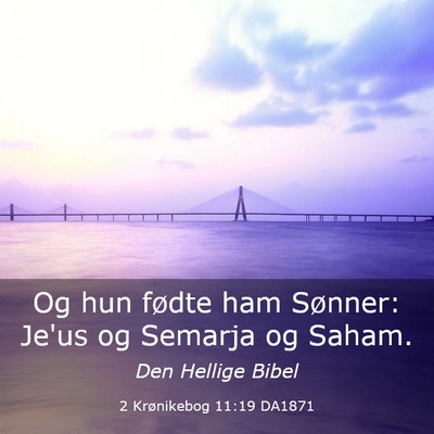 Picture 03 - 2 Krønikebog 11:19 DA1871 - Og hun fødte ham Sønner: Je'us og Semarja og - Bible Verse Picture