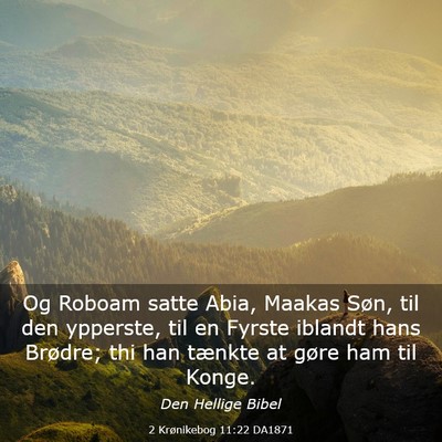 Picture 03 - 2 Krønikebog 11:22 DA1871 - Og Roboam satte Abia, Maakas Søn, til den - Bible Verse Picture
