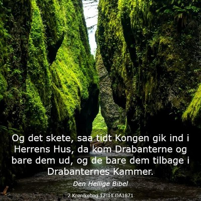 Picture 03 - 2 Krønikebog 12:11 DA1871 - Og det skete, saa tidt Kongen gik ind i Herrens - Bible Verse Picture